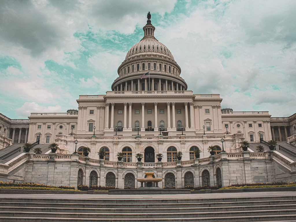 government-img